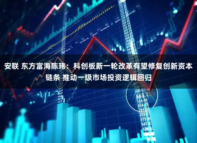 安联 东方富海陈玮：科创板新一轮改革有望修复创新资本链条 推动一级市场投资逻辑回归