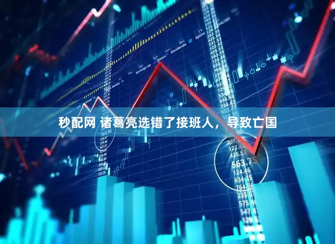 秒配网 诸葛亮选错了接班人，导致亡国