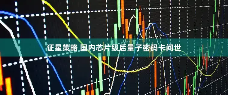证星策略 国内芯片级后量子密码卡问世