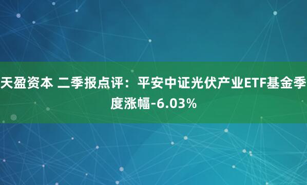 天盈资本 二季报点评：平安中证光伏产业ETF基金季度涨幅-6.03%