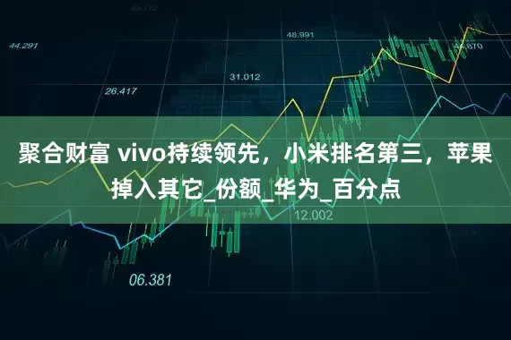 聚合财富 vivo持续领先，小米排名第三，苹果掉入其它_份额_华为_百分点