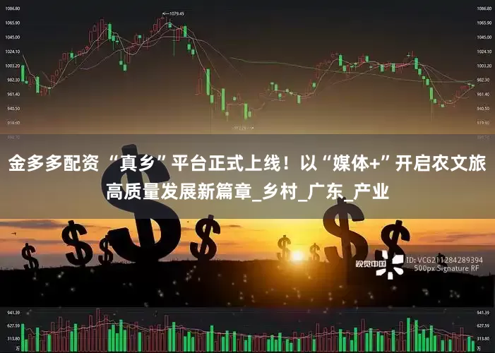 金多多配资 “真乡”平台正式上线！以“媒体+”开启农文旅高质量发展新篇章_乡村_广东_产业