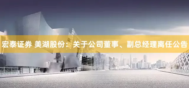 宏泰证券 美湖股份：关于公司董事、副总经理离任公告