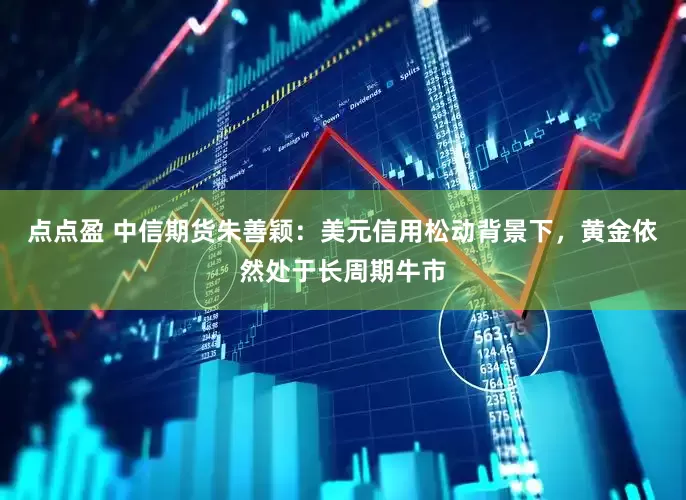 点点盈 中信期货朱善颖：美元信用松动背景下，黄金依然处于长周期牛市