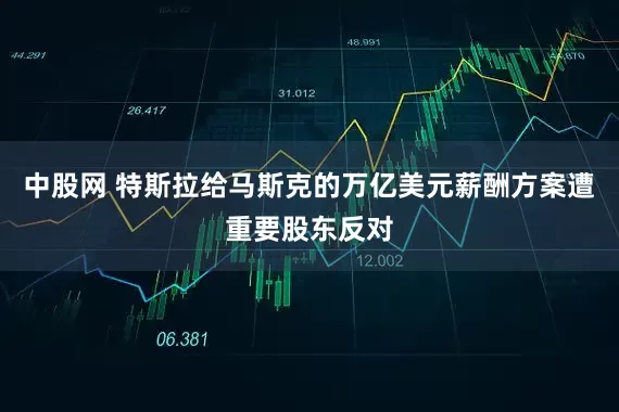 中股网 特斯拉给马斯克的万亿美元薪酬方案遭重要股东反对